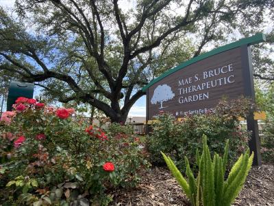 Mae S. Bruce Therapeutic Garden Sign Ground Shot